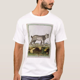 Camiseta Lince canadense