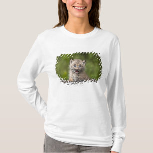 Camiseta Lince do bebê que olha sobre a árvore caída A