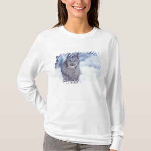Camiseta Lince na neve nos contrafortes