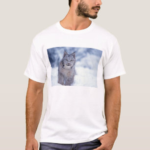 Camiseta Lince na neve nos contrafortes