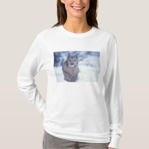 Camiseta Lince na neve nos contrafortes