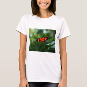 Camiseta Linda borboleta vermelha e negra