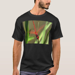 Camiseta Linda pintura em acrílico do Firecracker Dragonfl