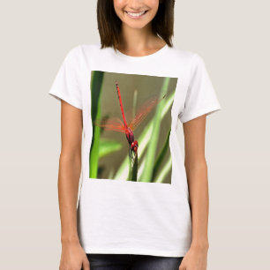 Camiseta Linda pintura em acrílico do Firecracker Dragonfl