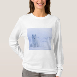 Camiseta Linda Raposa Ártica