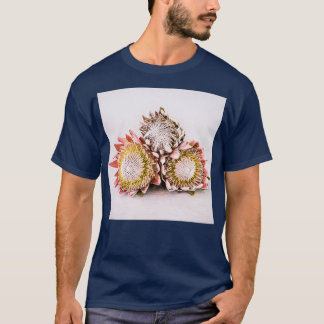 Camiseta Lindas Proteas Com Fundo Simples