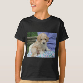 Camiseta Lindo cachorrinho cavapoo olhando para você, isola