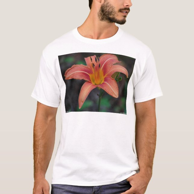 Camiseta Lindos Artigos e Presentes de Hemerocallis Cor de  (Frente)