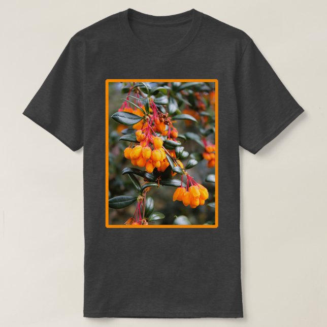 Camiseta Lindos Darwins Laranja Flores de Aromas (Frente do Design)
