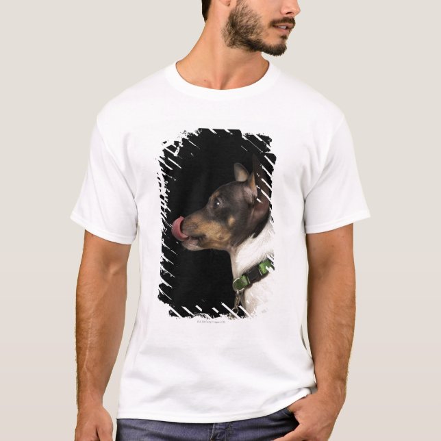Camiseta Língua fora do rato Terrier preto e branco (Frente)