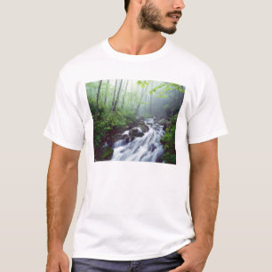 Camiseta Linn Cove Creek em cascata através da névoa