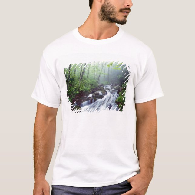 Camiseta Linn Cove Creek em cascata com neblina (Frente)