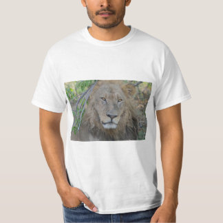 Camiseta Lion King Focsed