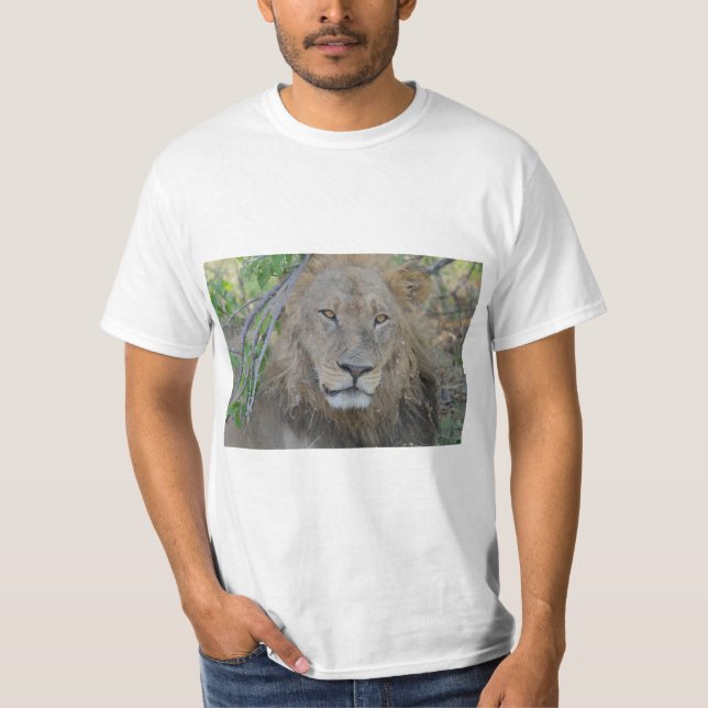 Camiseta Lion King Focsed (Frente)