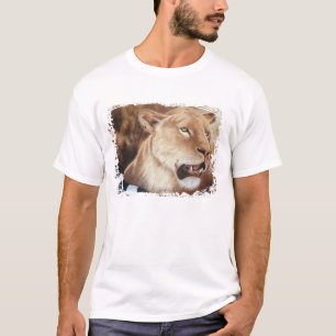 Camiseta Lioness no Matar