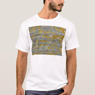 Camiseta líquenes sobre pedra de granito
