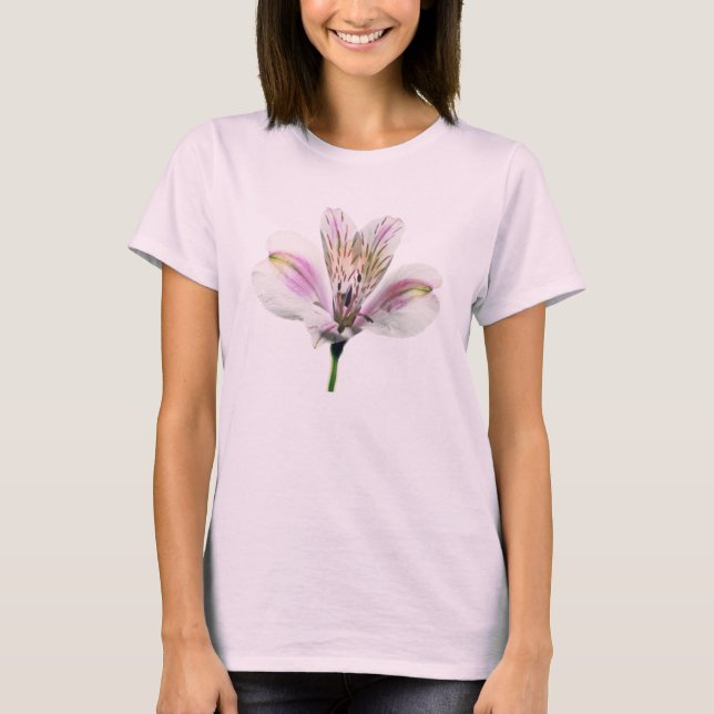 Camiseta Lírio da trombeta (Frente)
