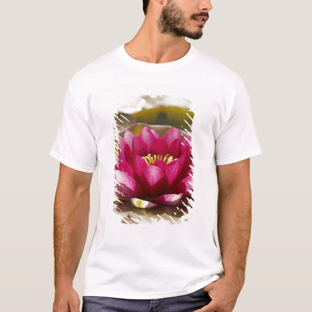 Camiseta Lírio de água (Frente)