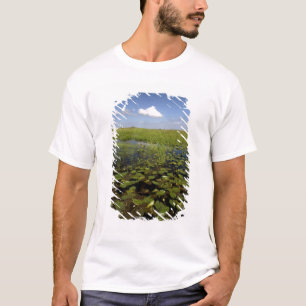 Camiseta Lírios de água e sawgrass nos everglades da Flórid