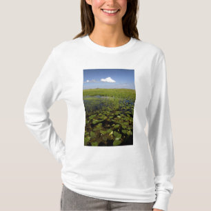 Camiseta Lírios de água e sawgrass nos everglades da Flórid