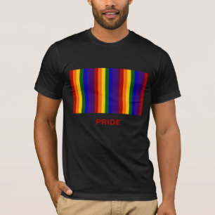 Camiseta Listras do arco-íris