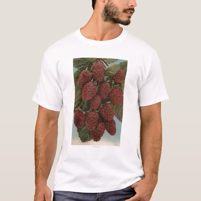 Camiseta Litografia de Chromo da fruta de LoganberriesState (Frente)