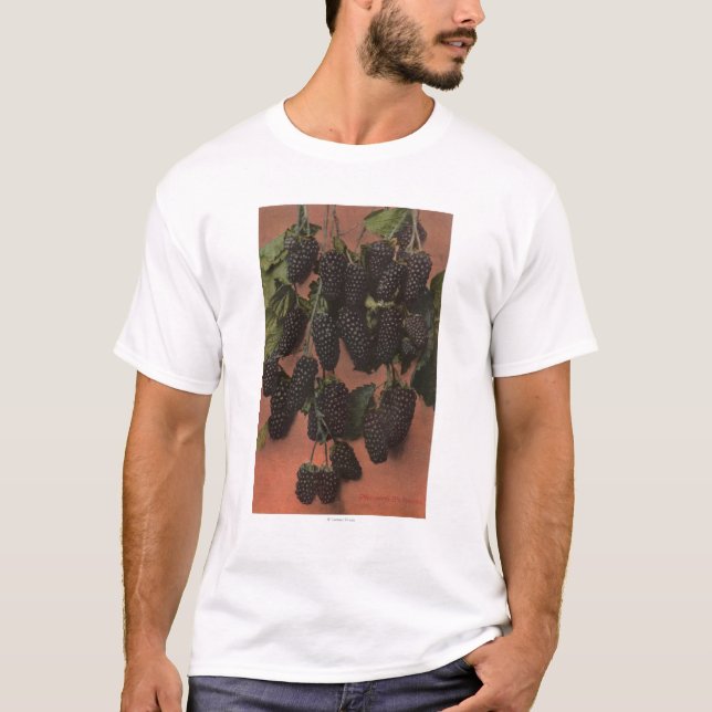 Camiseta Litografia de Chromo da fruta do Mammoth (Frente)