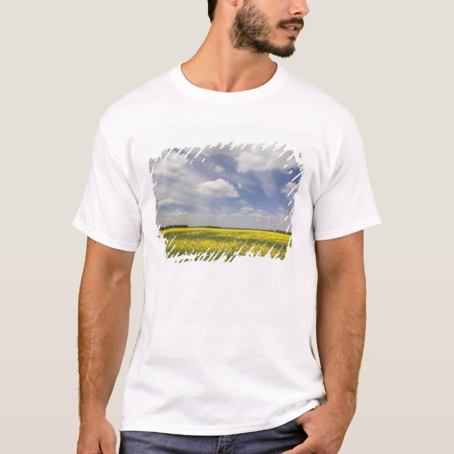 Camiseta Lituânia, Lituânia Central, Joniskis, campo de (Frente)