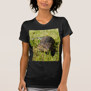 Camiseta Lizard De Língua Azul A Cair Na Grama,