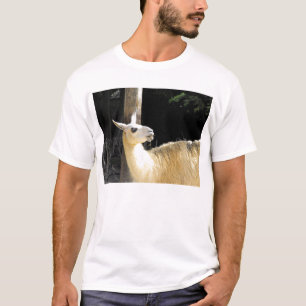 Camiseta Llama alimentando