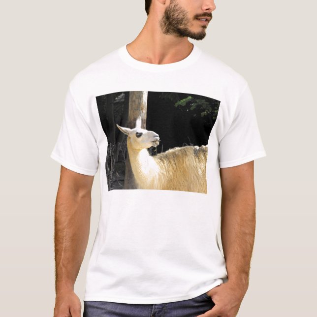Camiseta Llama alimentando (Frente)