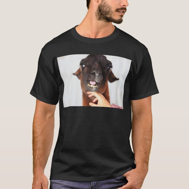 Camiseta Llama Love (Frente)