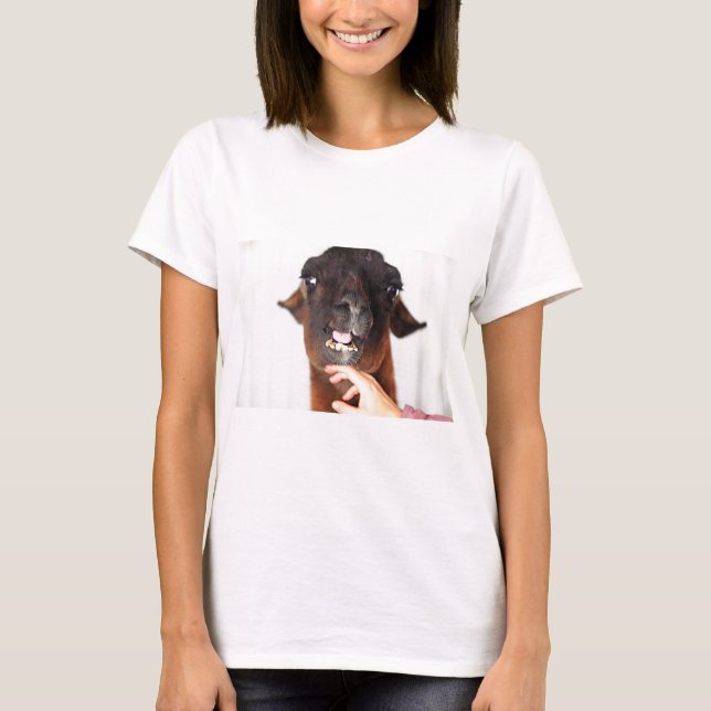 Camiseta Llama Love (Frente)