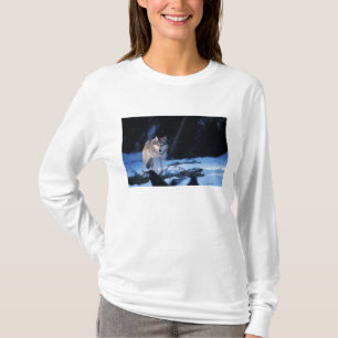 Camiseta lobo cinzento, Canis lupus, nos contrafortes