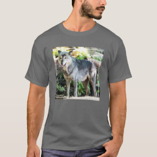Camiseta Lobo cinzento que está apenas