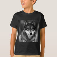 Lobo Negro e Branco
