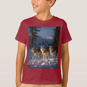 Camiseta Lobos em Paz