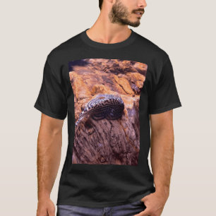Camiseta Locha de riacho de montanha
