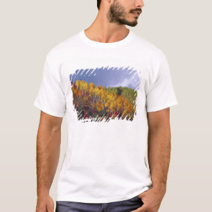 Camiseta Logan Canyon em Utah no outono com passagem