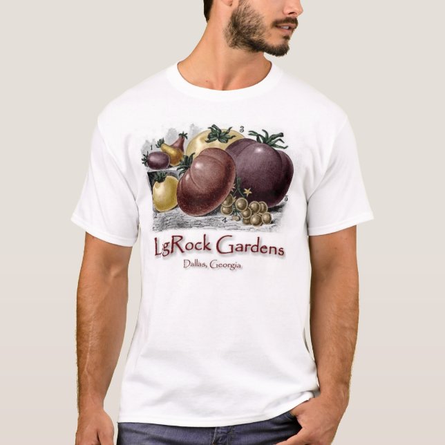 Camiseta LogRock Dallas (Frente)