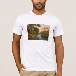 Camiseta Lombo de Branksome, Bornemouth, Dorset, Inglaterra