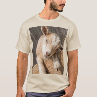 Camiseta Lona de Fotografia de Casa de Campo Rústica com Bo