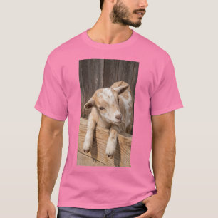 Camiseta Lona de Fotografia de Casa de Campo Rústica com Bo