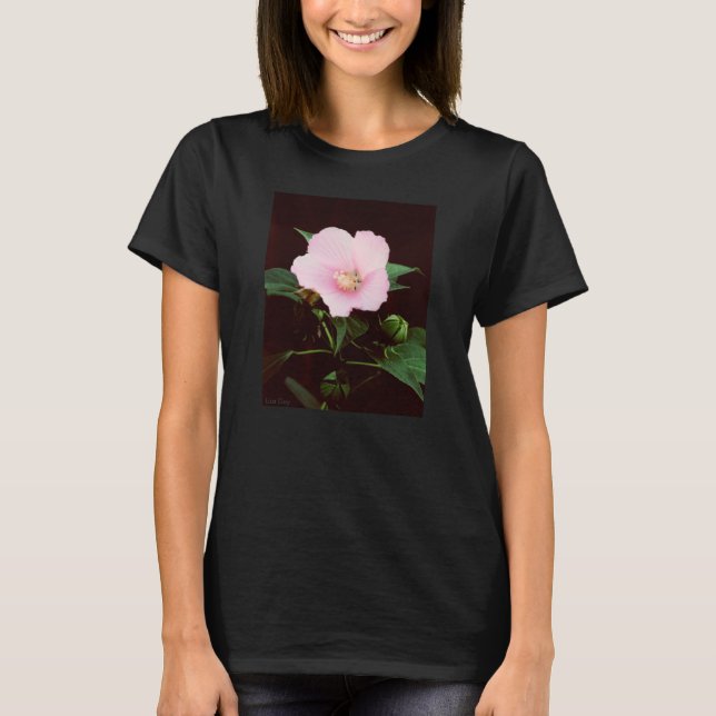 Camiseta longa-Capa das rosa Mallow Damies (Frente)