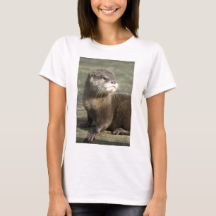 Camiseta Lontra bonito do bebê