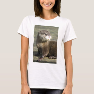 Camiseta Lontra bonito do bebê