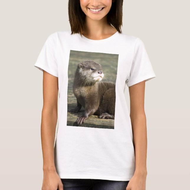 Camiseta Lontra bonito do bebê (Frente)