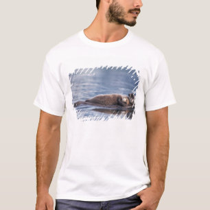 Camiseta lontra de mar, lutris dos lutris do Enhydra, mãe
