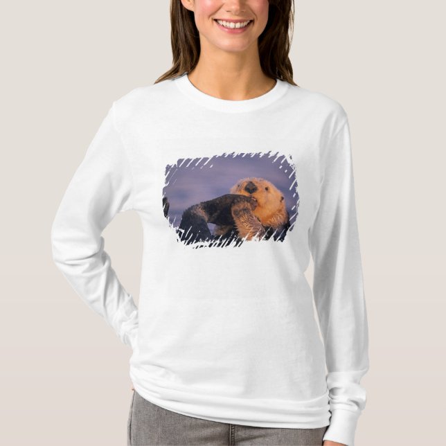Camiseta Lontra Marinha, Enhydra lutris (Frente)