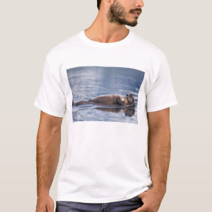 Camiseta lontra marinha, Enhydra lutris lutris